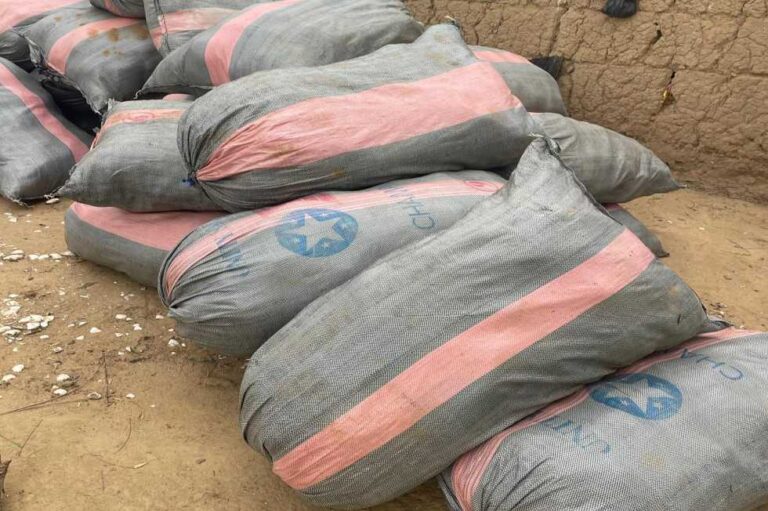 BNI Intercepted Cannabis at Zadolakope in North Tongu District of Volta Region